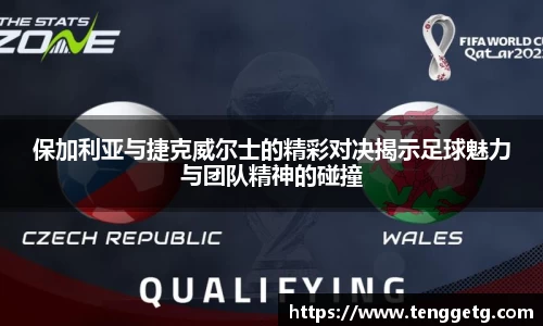 保加利亚与捷克威尔士的精彩对决揭示足球魅力与团队精神的碰撞