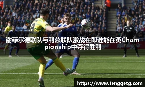 谢菲尔德联队与利兹联队激战在即谁能在英Championship中夺得胜利